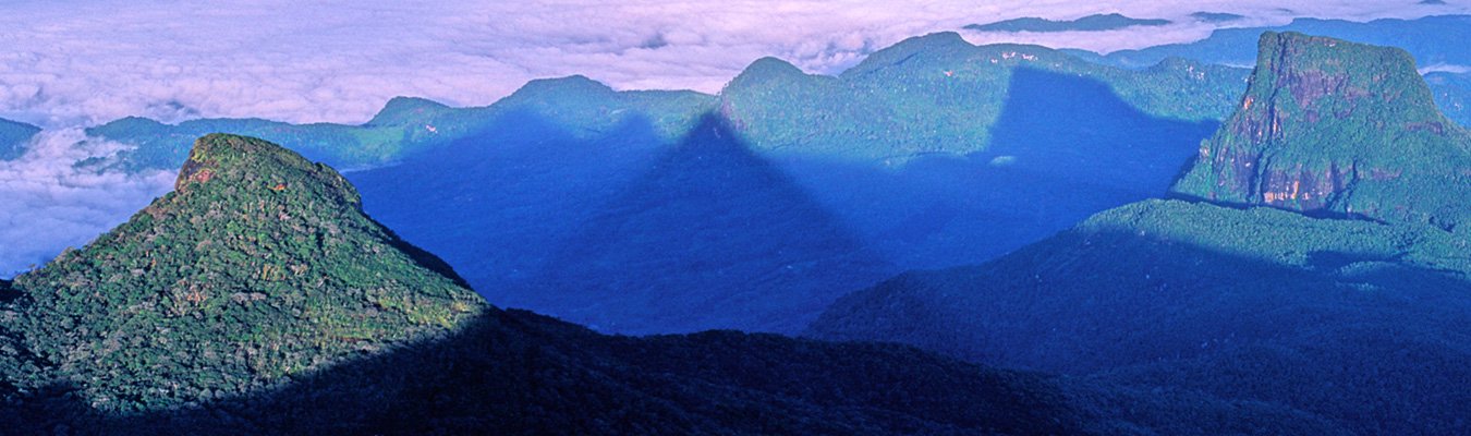 Adam's Peak, (Sripada) hike