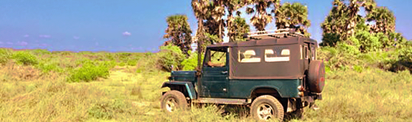 Off-road Adventure, Kalpitiya lagoon