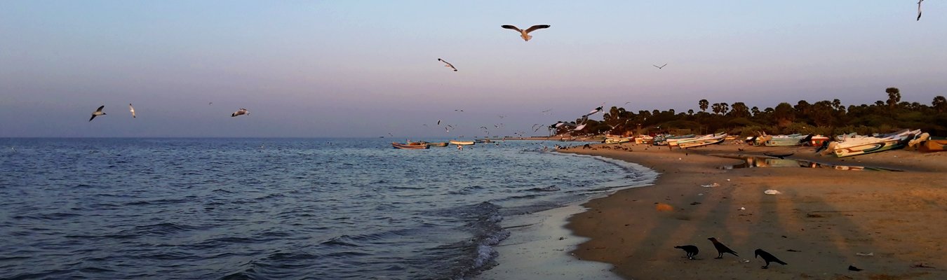  Mannar beach