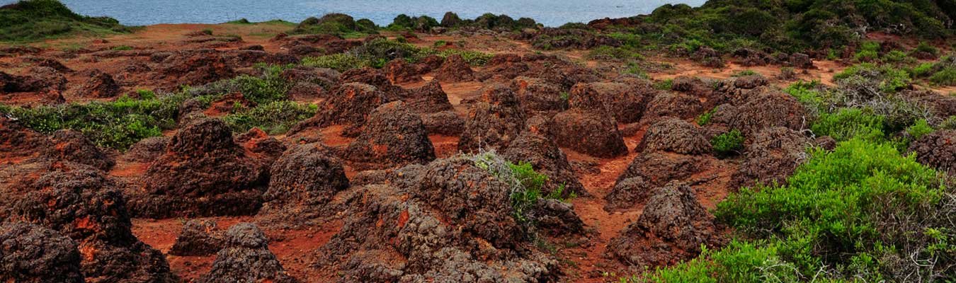 Kudiramalai, Wilpattu national park