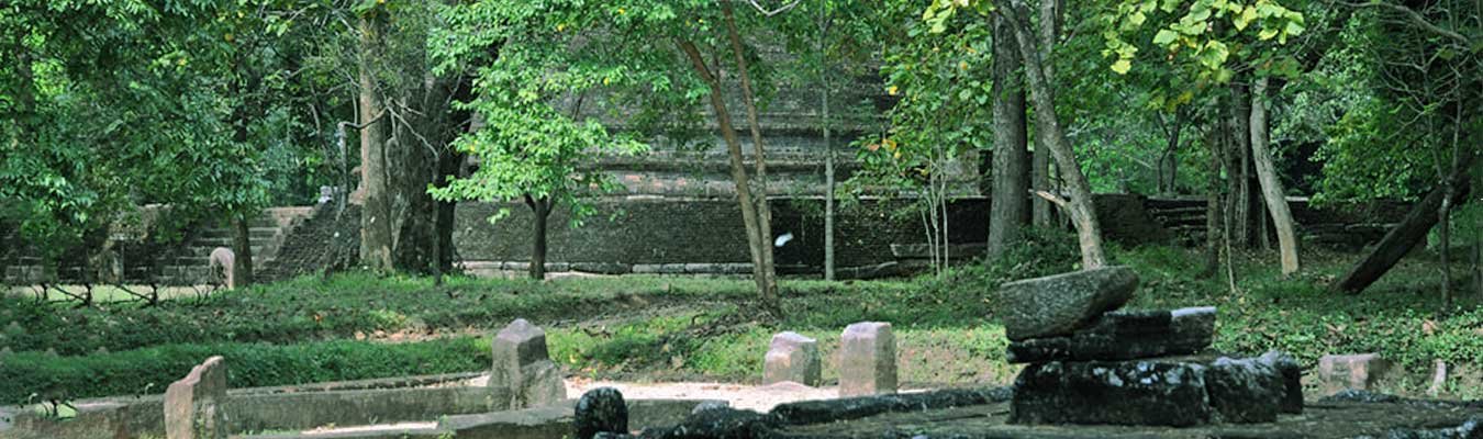 Arboretum, Archaeological reserve at Menikdena  