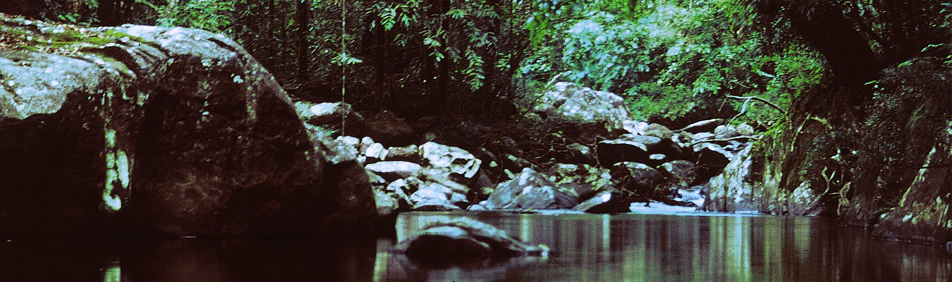 Sinharaja forest reserve, World heritage site