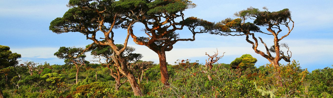 Horton plains national park, World heritage site