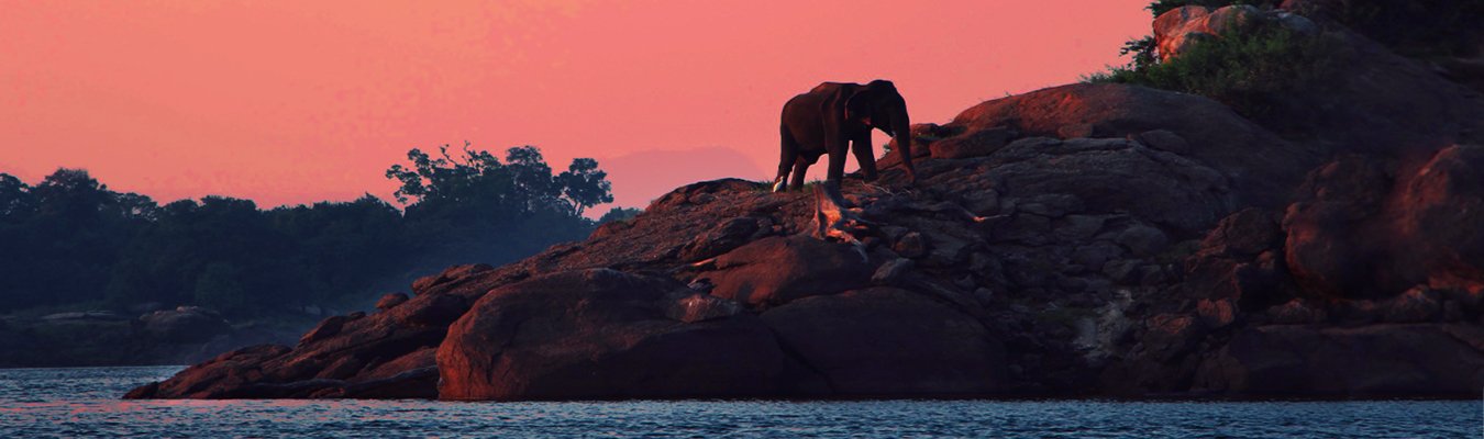 Gal Oya national park, Boat safari