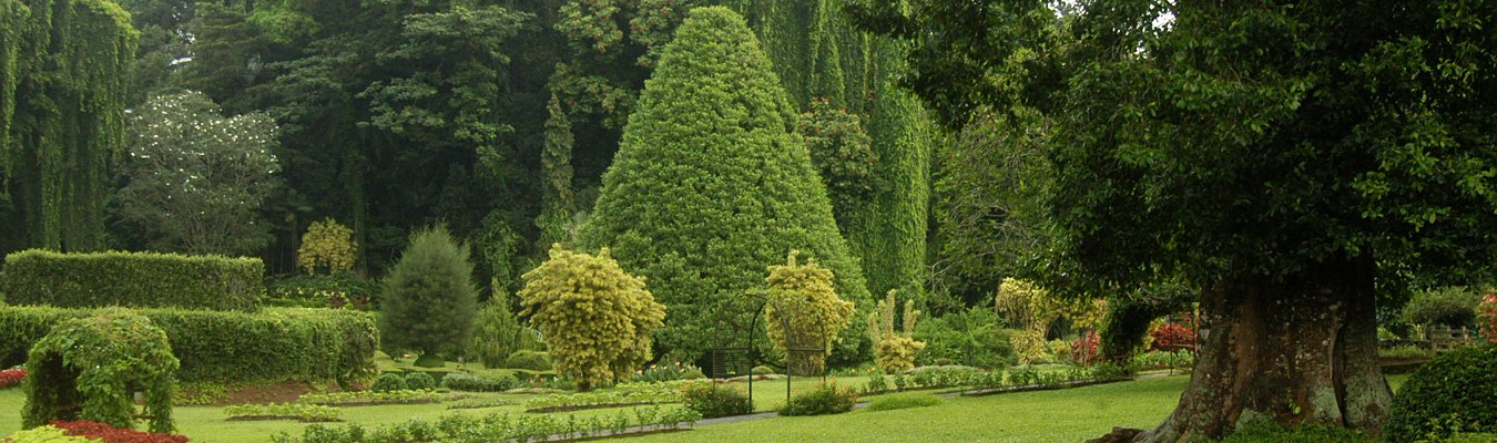 Peradeniya botanical garden