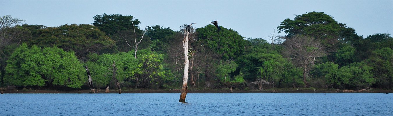 Wildlife safari, Lunugamvehera national park