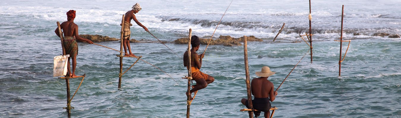 Stilt Fishing in Sri Lanka: Where Balance Becomes a Way of Life