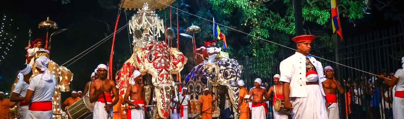 “Raja” the common name for Casket bearers of Tooth Relic of Lord Buddha at Kandy Esala Perahera