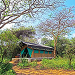 Wilpattu Safari Camp