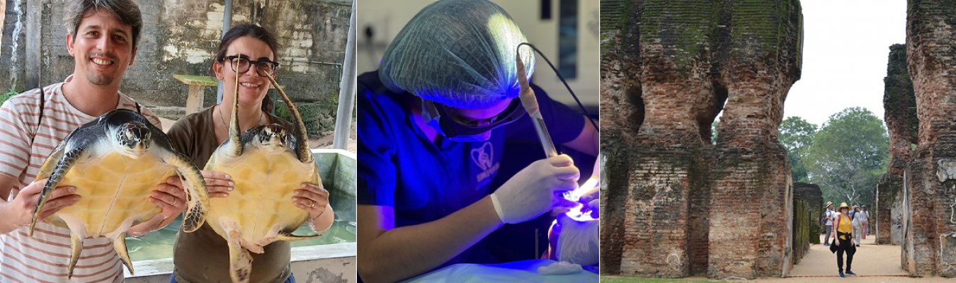 Dental Wellness & Cultural Journey
