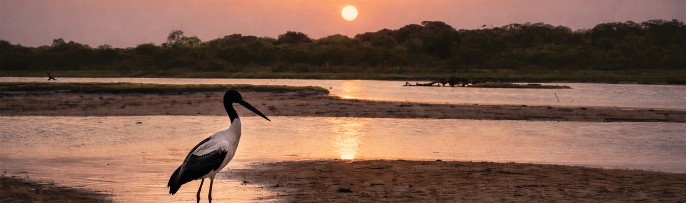 Sri Lanka Photography Expedition | Landscapes, Culture & Wildlife Through the Lens